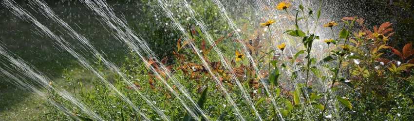 Bonus Verde: irrigatori in azione in un giardino fiorito