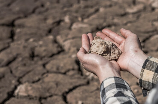 Il richiamo della terra