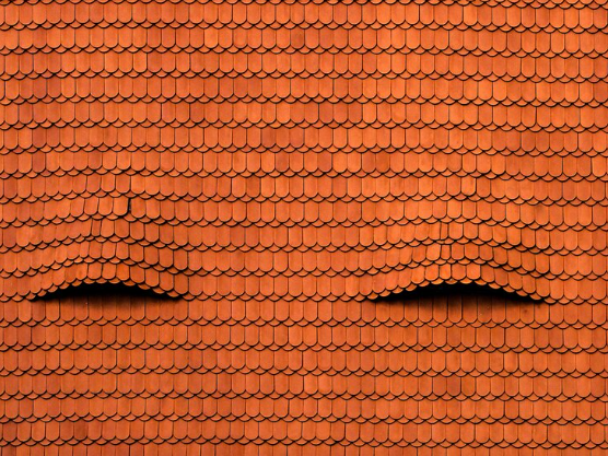 La rivolta delle tegole