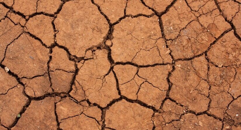 Il sapore dell'argilla: tradizioni e ricette da un mondo di laterizi.