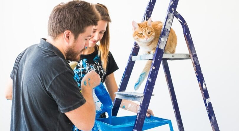 Come ristrutturare la tua casa senza far scappare il gatto
